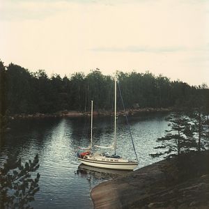 1993 Ulko Nuokko