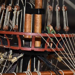 JPG_6004_3234_bewerkt-1