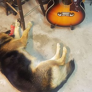 IMG-20190523-WA0024