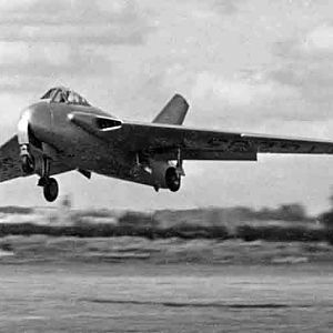 SWALLOW-002