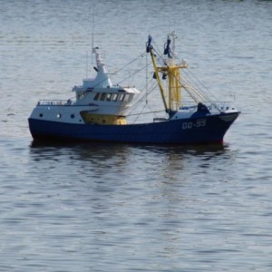 DSC00132