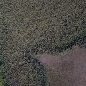 IMG-20200914-WA0000