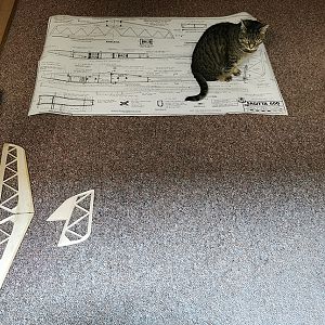 Sagitta_036