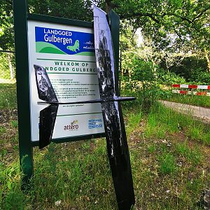 Sagitta_074