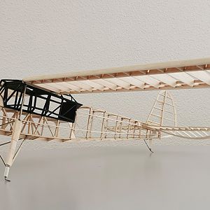 Fieseler_Storch__094