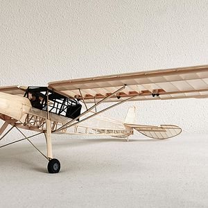 Fieseler_Storch__198