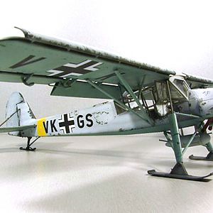 Fieseler_Storch__224