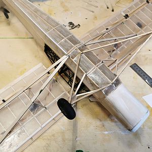 Fieseler_Storch__237