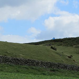 IMG_3791