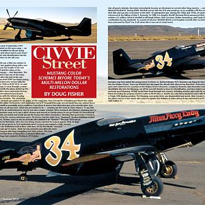 Ornithos Bouwproject 2021-2022 P51 Mustang