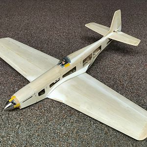 Ornithos_P-51__037
