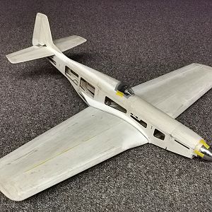 Ornithos_P-51__038