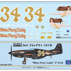 Ornithos_P-51__040