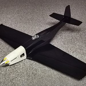 Ornithos_P-51__049