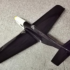 Ornithos_P-51__054