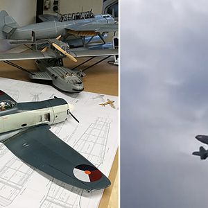 Sea-Fury