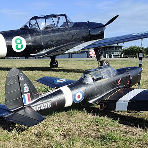 Chipmunk 409