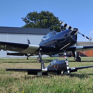 Chipmunk 410