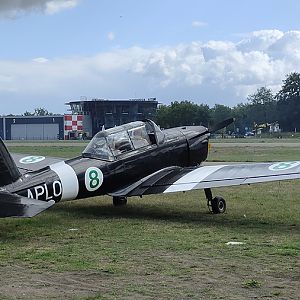 Chipmunk 414