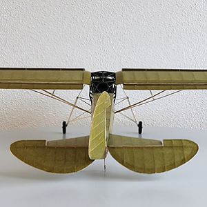 STORCH