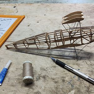 FF_TIGER_MOTH_016