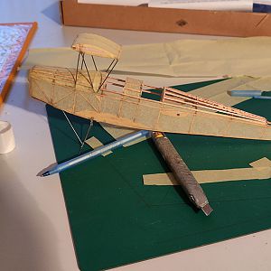 FF_TIGER_MOTH_026