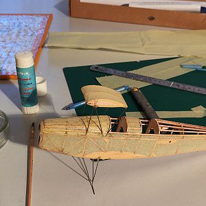 FF_TIGER_MOTH_027