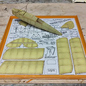 FF_TIGER_MOTH_028