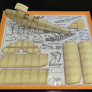 FF_TIGER_MOTH_029