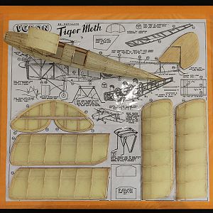 FF_TIGER_MOTH_030