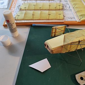 FF_TIGER_MOTH_034