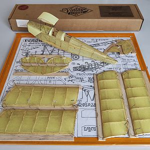 FF_TIGER_MOTH_035