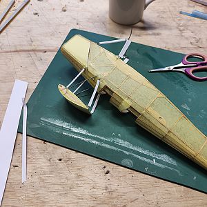 FF_TIGER_MOTH_036