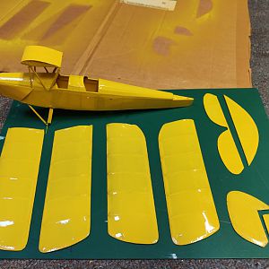FF_TIGER_MOTH_039