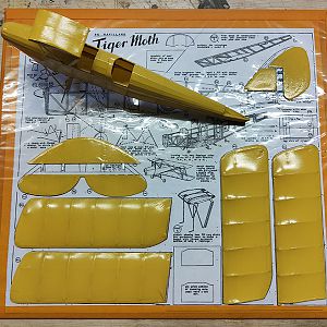 FF_TIGER_MOTH_041