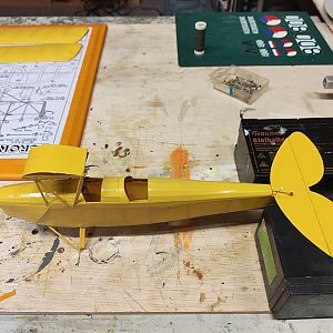FF_TIGER_MOTH_042