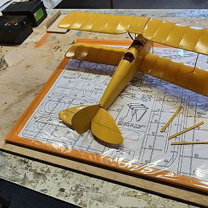 FF_TIGER_MOTH_043