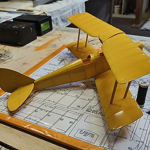 FF_TIGER_MOTH_044