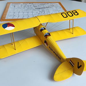 FF_TIGER_MOTH_046