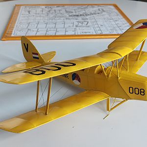 FF_TIGER_MOTH_047