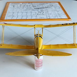 FF_TIGER_MOTH_049