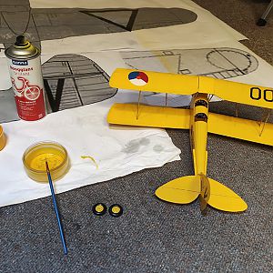 FF_TIGER_MOTH_051