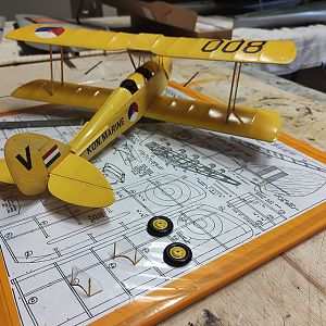 FF_TIGER_MOTH_052