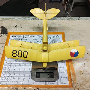 FF_TIGER_MOTH_055
