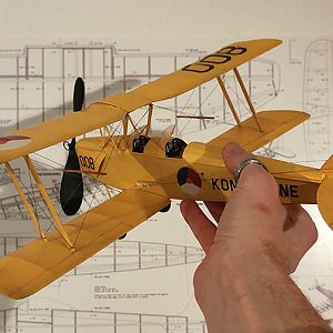 FF_TIGER_MOTH_056