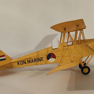 FF_TIGER_MOTH_058