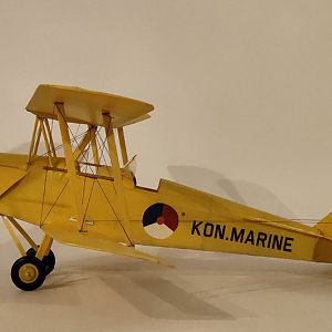 FF_TIGER_MOTH_059