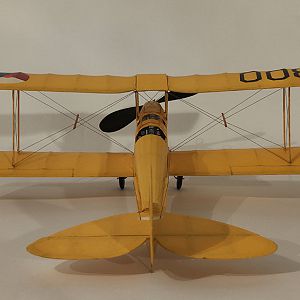 FF_TIGER_MOTH_060