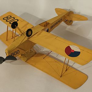 FF_TIGER_MOTH_061