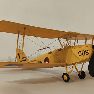 FF_TIGER_MOTH_063